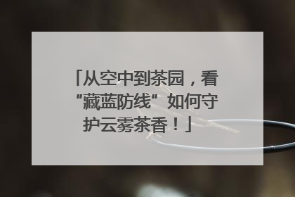 从空中到茶园，看“藏蓝防线”如何守护云雾茶香！