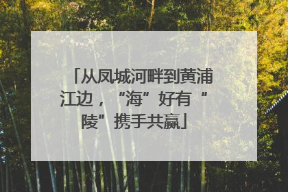 从凤城河畔到黄浦江边，“海”好有“陵”携手共赢