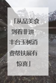 从品美食到看非遗 丰台玉树消费帮扶展有惊喜