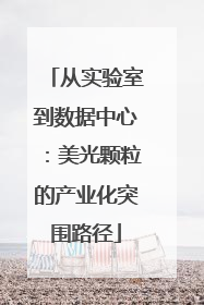 从实验室到数据中心：美光颗粒的产业化突围路径