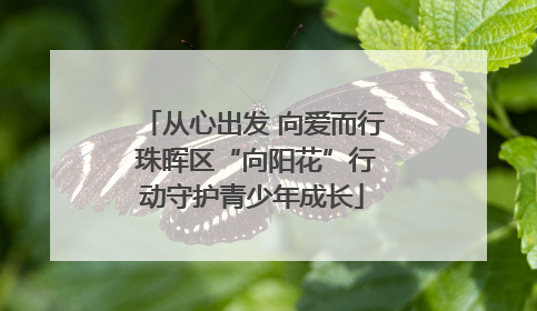 从心出发 向爱而行 珠晖区“向阳花”行动守护青少年成长