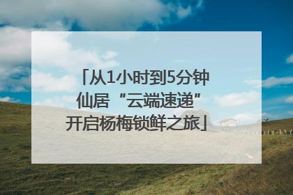 从1小时到5分钟 仙居“云端速递”开启杨梅锁鲜之旅