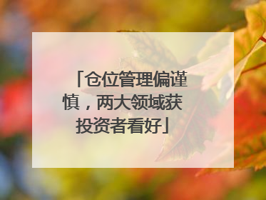 仓位管理偏谨慎，两大领域获投资者看好