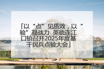 以“点”见质效，以“验”凝战力  英德连江口镇召开2025年度基干民兵点验大会