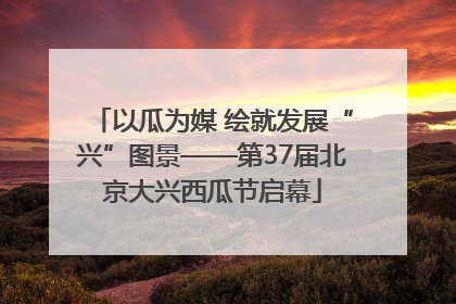 以瓜为媒 绘就发展“兴”图景——第37届北京大兴西瓜节启幕