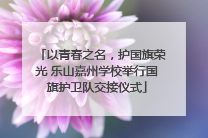 以青春之名，护国旗荣光 乐山嘉州学校举行国旗护卫队交接仪式