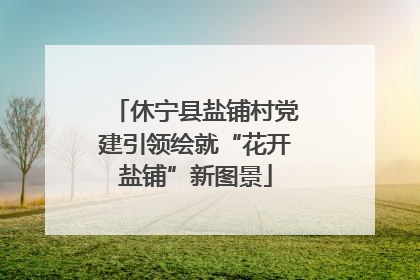休宁县盐铺村党建引领绘就“花开盐铺”新图景