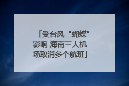 受台风“蝴蝶”影响 海南三大机场取消多个航班