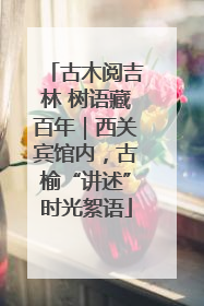 古木阅吉林 树语藏百年｜西关宾馆内，古榆“讲述”时光絮语