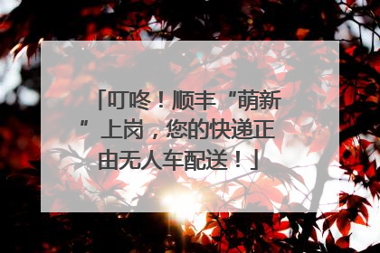 叮咚！顺丰“萌新”上岗，您的快递正由无人车配送！