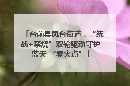 台前县凤台街道：“统战+禁烧”双轮驱动守护蓝天 “零火点”