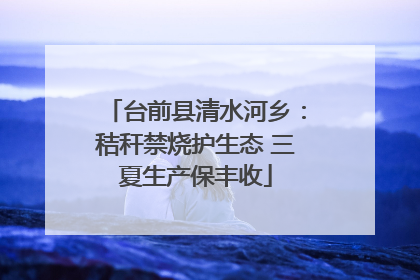 台前县清水河乡：秸秆禁烧护生态 三夏生产保丰收