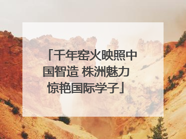 千年窑火映照中国智造 株洲魅力惊艳国际学子