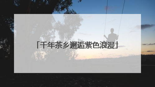 千年茶乡邂逅紫色浪漫