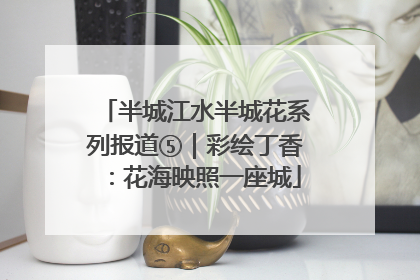 半城江水半城花系列报道⑤｜彩绘丁香：花海映照一座城