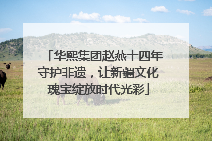 华熙集团赵燕十四年守护非遗，让新疆文化瑰宝绽放时代光彩