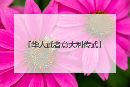 华人武者意大利传武