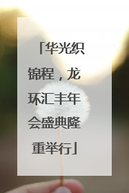 华光织锦程，龙环汇丰年会盛典隆重举行