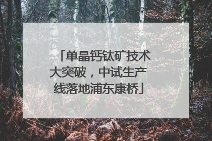 单晶钙钛矿技术大突破，中试生产线落地浦东康桥