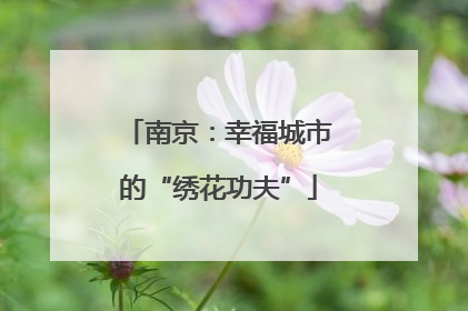 南京：幸福城市的“绣花功夫”