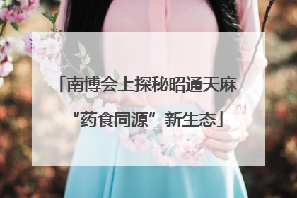 南博会上探秘昭通天麻“药食同源”新生态