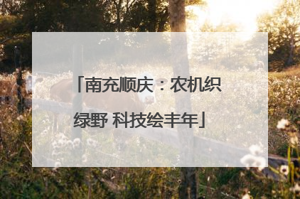 南充顺庆：农机织绿野 科技绘丰年