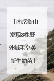 南岳衡山发现8株野外绒毛皂荚新生幼苗