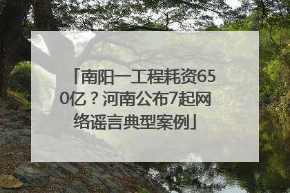 南阳一工程耗资650亿？河南公布7起网络谣言典型案例