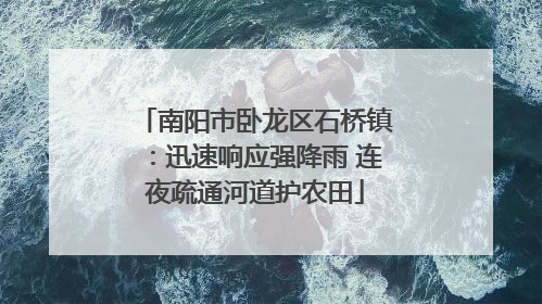 南阳市卧龙区石桥镇：迅速响应强降雨 连夜疏通河道护农田