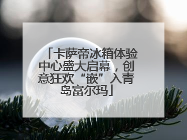 卡萨帝冰箱体验中心盛大启幕，创意狂欢“嵌”入青岛富尔玛