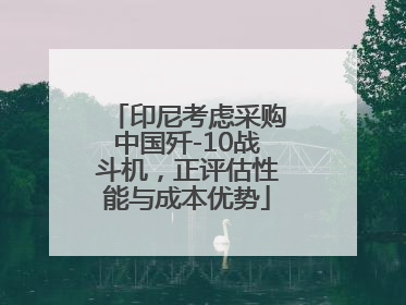 印尼考虑采购中国歼-10战斗机，正评估性能与成本优势