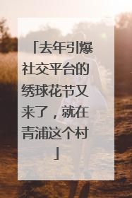 去年引爆社交平台的绣球花节又来了，就在青浦这个村