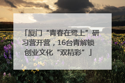 厦门“青春在鹭上”研习营开营，16台青解锁创业文化“双精彩”