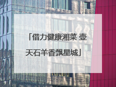 借力健康湘菜 壶天石羊香飘星城