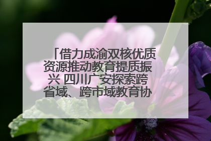 借力成渝双核优质资源推动教育提质振兴 四川广安探索跨省域、跨市域教育协同发展新路径
