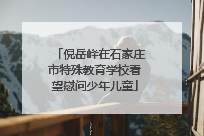 倪岳峰在石家庄市特殊教育学校看望慰问少年儿童