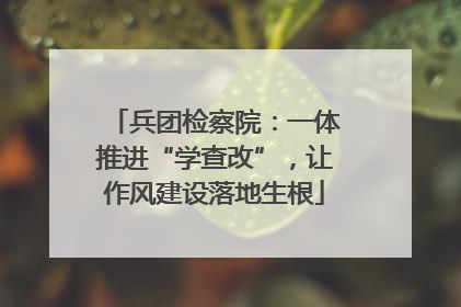 兵团检察院：一体推进“学查改”，让作风建设落地生根