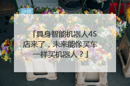具身智能机器人4S店来了，未来能像买车一样买机器人？