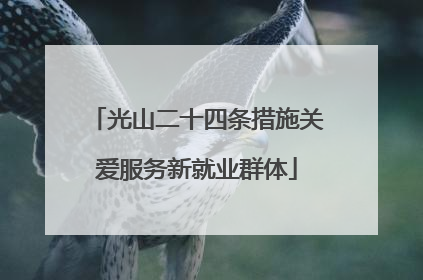 光山二十四条措施关爱服务新就业群体