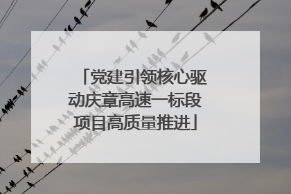 党建引领核心驱动庆章高速一标段项目高质量推进