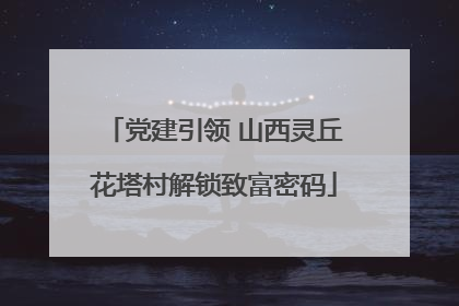 党建引领 山西灵丘花塔村解锁致富密码