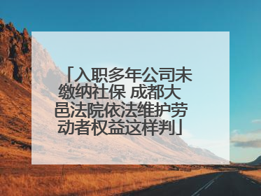 入职多年公司未缴纳社保 成都大邑法院依法维护劳动者权益这样判