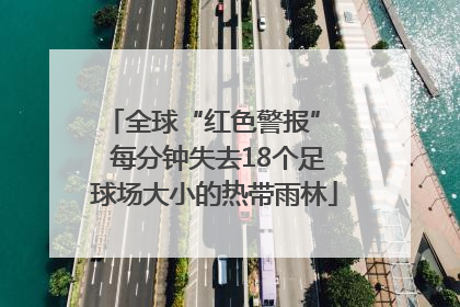全球“红色警报”  每分钟失去18个足球场大小的热带雨林