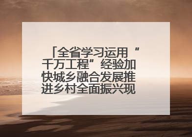 全省学习运用“千万工程”经验加快城乡融合发展推进乡村全面振兴现场会在上杭举行