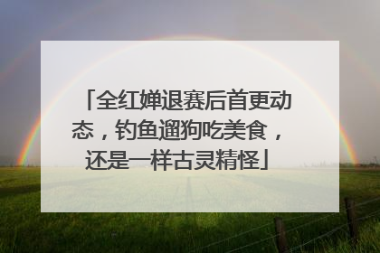 全红婵退赛后首更动态，钓鱼遛狗吃美食，还是一样古灵精怪