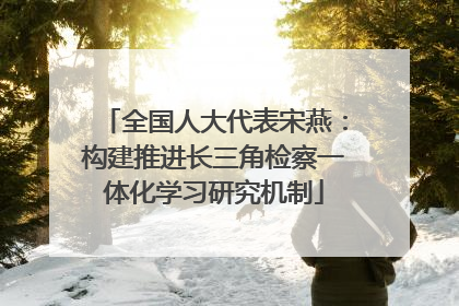 全国人大代表宋燕：构建推进长三角检察一体化学习研究机制