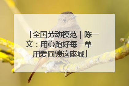 全国劳动模范｜陈一文：用心跑好每一单 用爱回馈这座城
