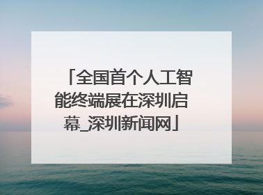 全国首个人工智能终端展在深圳启幕_深圳新闻网