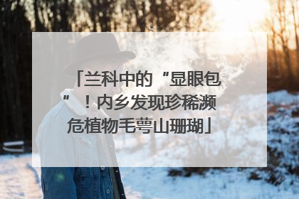 兰科中的“显眼包”！内乡发现珍稀濒危植物毛萼山珊瑚