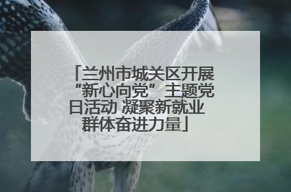 兰州市城关区开展“新心向党”主题党日活动 凝聚新就业群体奋进力量